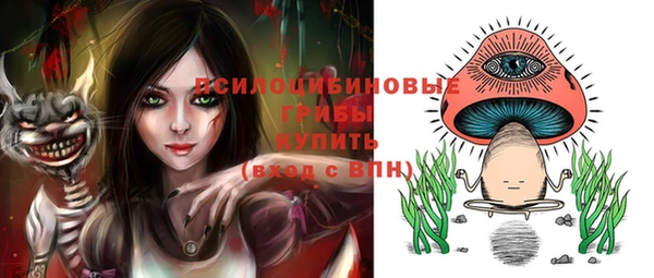 PSILOCYBIN Балахна